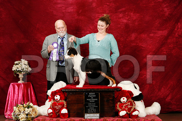 _ST_2473-2-BeltonJan2015-HR3
