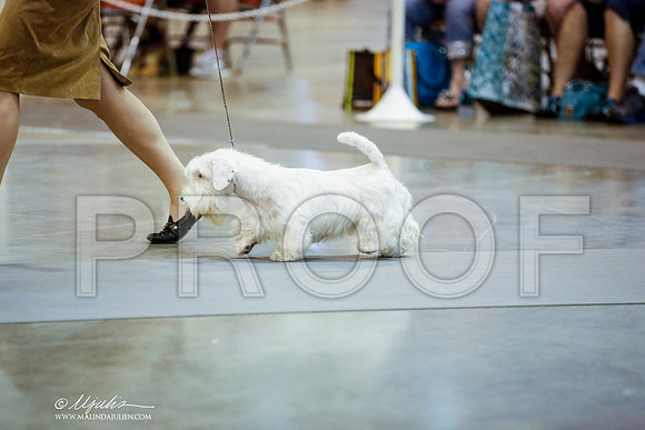 _JN_9628-HstnJul2014-HR3