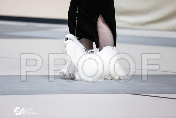_RH_6262-BgSprngMay14-HR3