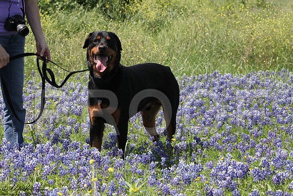 JennHartman-0196LR