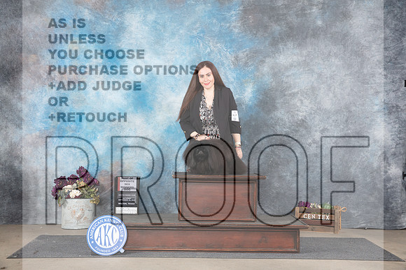 Pekinese #5 Sat BOSWD Judge Donelle Richards__JP_7140_Belton_2024_HR3