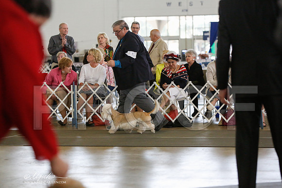 _JJ_2382-DallasJul2014-HR3