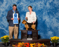 Norwich Terriers #7 Sun G1 Willrich Tonnie Gerard Amanda Kozora Agent Alfonso Escobedo Judge Dr Thomas Lee Hossfeld