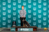 Australia Cattle Dog #154 Thur RM4th Judge Terri Raine