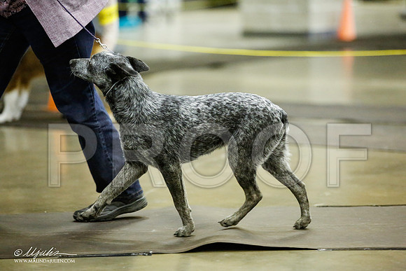 _JJ_6964-BeltonJan2015IABCA-HR3