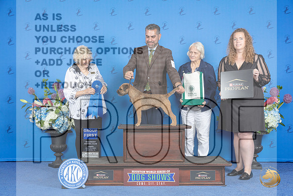 Border Terrier #9 SUN G1 Judge Nancy Liebes__JP_0744_Houston_2024_HR3