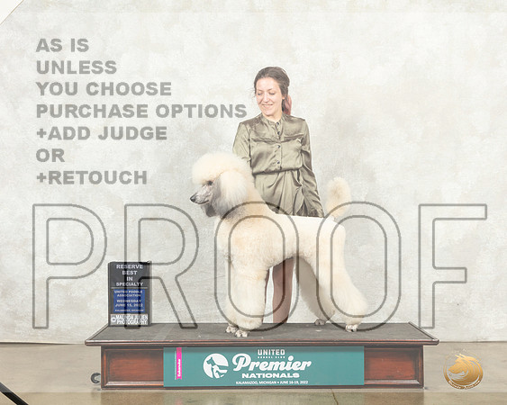Poodle Std MC #? Wed RBISS Judge Sharon Griffin__MJ_9098_Premier_2022_HR3
