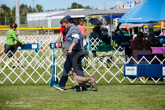 _JJ_8091-AlamogordoOct2014-HR3