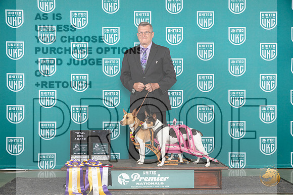 Rat Terriers #553 #554__JP_3041_Premier_2024_HR3