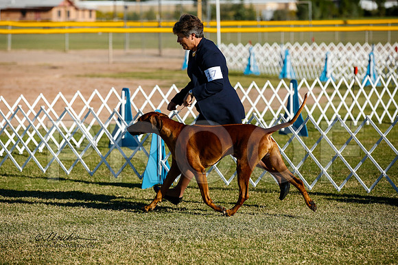 _JJ_2174-AlamogordoOct2014-HR3