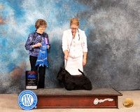 Scottish Terrier #6 Fri G1 Judge Pat Trotter