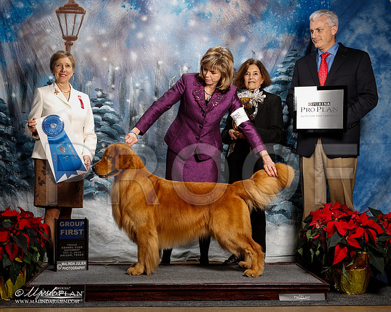 _ST_8888-2-DallasDec2014-HR3