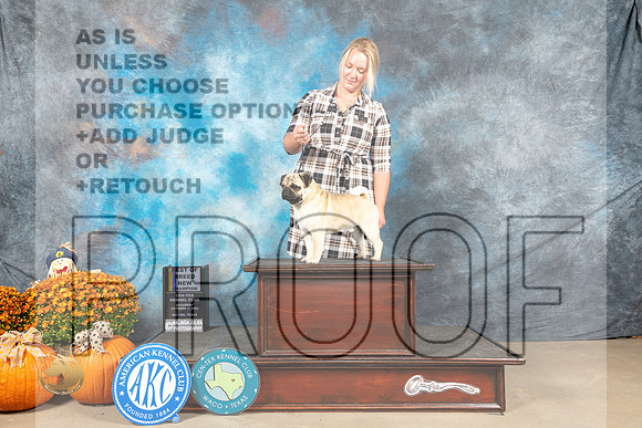 Pug #7 Sat WDBOBCh Judge Donnelle Richards_MJ_6074_Belton_2022_HR3