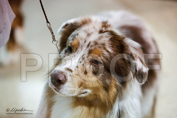 _JN_7584-ASCACollegeStationNov2014-HR3