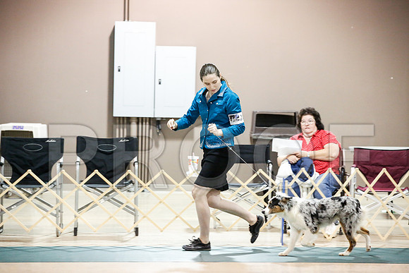 _JJ_7643-ASCACollegeStationNov2014-HR3