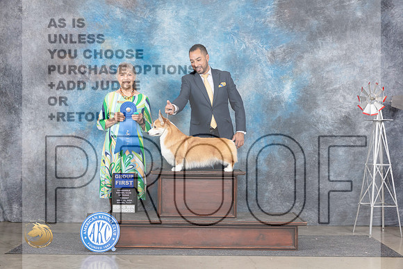 Pembroke Welsh Corgi #16 Sun G1 Judge Jill Warren__JP_6488_Amarillo_2024_HR3