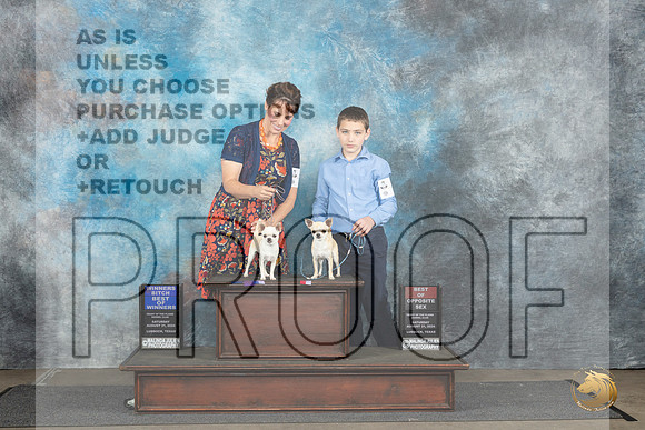 Chihuahuas Smooth #9 #12 WB BOS BOS Judge David Bolus__JP_3422_Lubbock_2024_HR3
