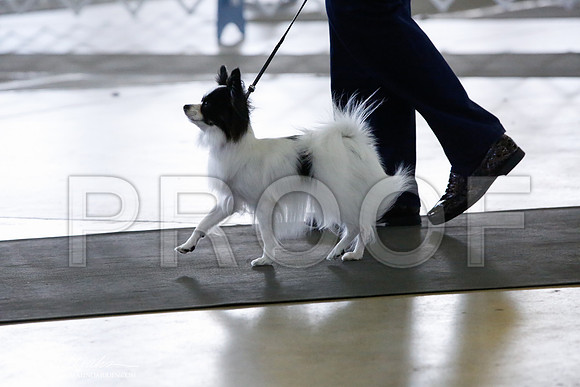 _HR_5902-DallasJul2014-HR3