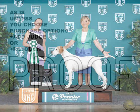 Pointer #693 SAt Alt BOB Alt G3 Judge Tina CampPointer #693 SAt Alt BOB Alt G3 Judge Tina Camp_WP_7688e-UKC Premier 2025-HR3