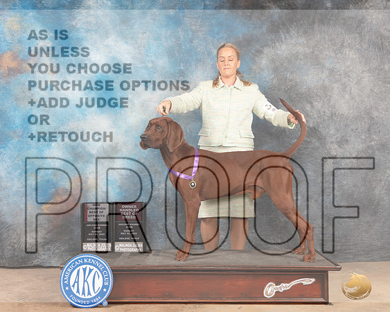 Redbone Coonhound #5 Sun BOWCh Judge Pat Trotter-MMJ_4774-Abilene2022-HR3