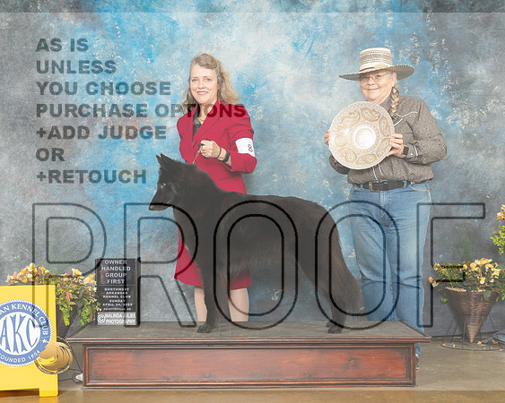 Belgian Sheepdog #8 Sun OHG1 Judge Jim Fehring-MMJ_1559-NWARK2022-HR3