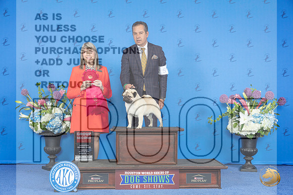 Pug #5 THUR G2 Judge Angela Pickett__JP_8548_Houston_2024_HR3