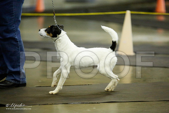 _JJ_5925-BeltonJan2015IABCA-HR3