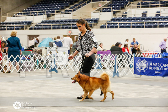 _JJ_0372-AblnMay2014-web