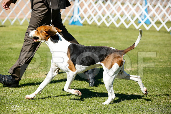 _JN_5935-AlamogordoOct2014-HR3
