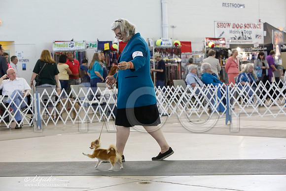 _HR_1739-DallasJul2014-HR3