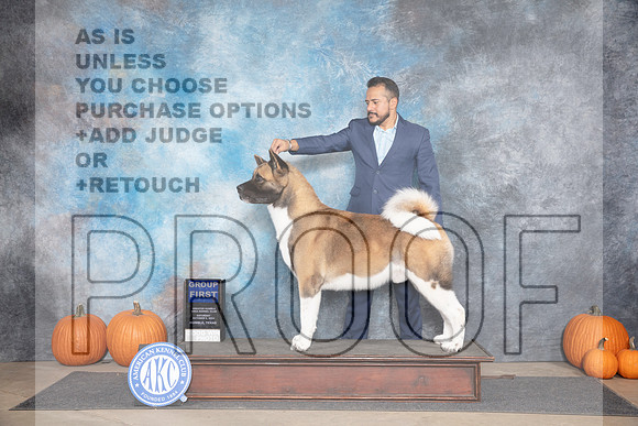 Akita #5 Sat G1 Judge Hal Biermann r__JP_9376_Humble_2024_HR3