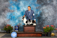 Cardigan Welsh Corgi #9 Sun WDBOWBOBM Judge Victor Rosado