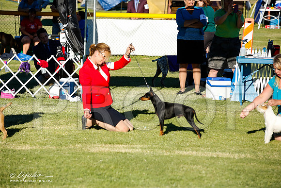 _JN_0011-AlamogordoOct2014-HR3
