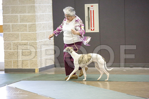 _JN_5263-BeltonJan2015-HR3