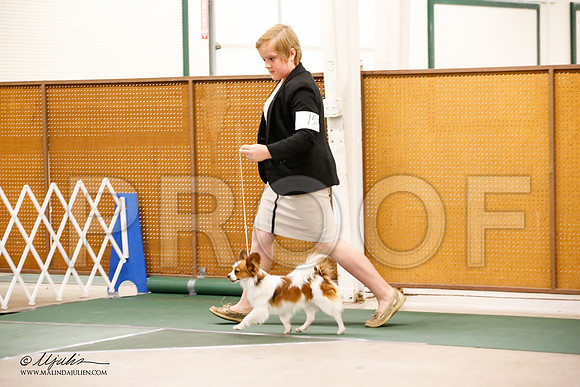 _JN_0324-NrmnNov2014-HR3