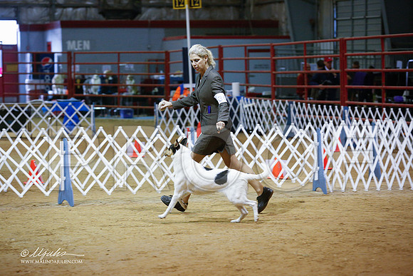 CollieS-3839-GRJan14-HR