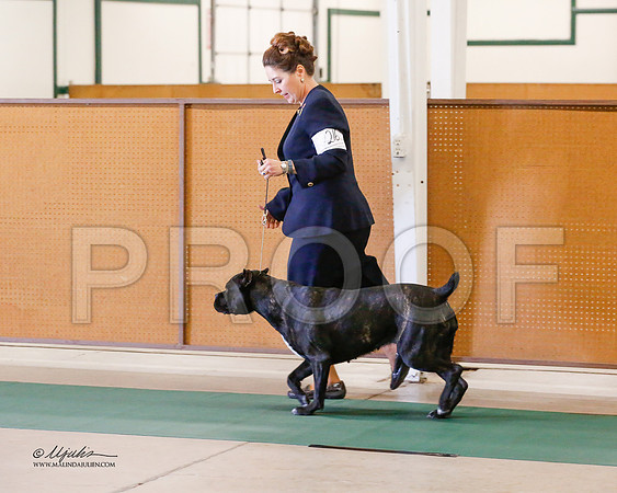 Cane-8446-NormNov13-HR