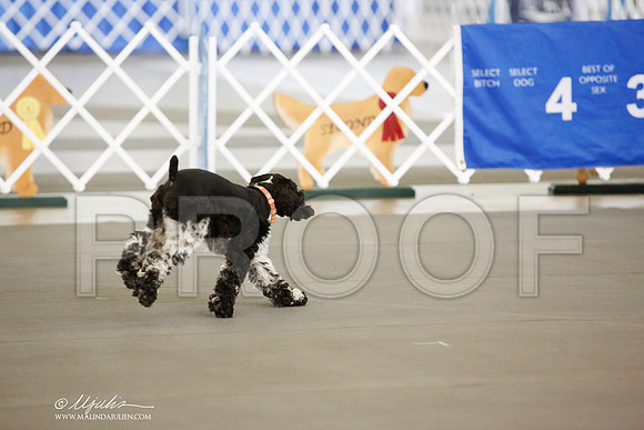 _JN_8656-DallasJul2014-HR3