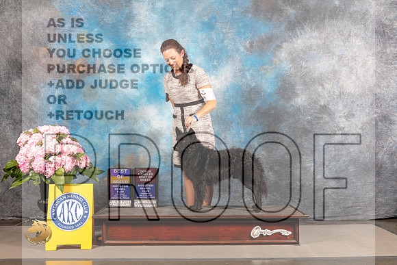 Mudi #7 THUR BOB BOH Judge Polly Smith_MJ_3960_Houston_2022_HR3