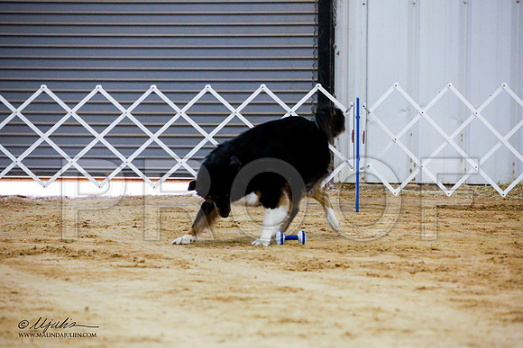 _JJ_9139-ASCACollegeStationNov2014-HR3