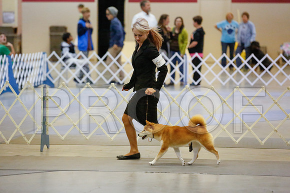 _JJ_8315-AmarilloSept2014-HR3