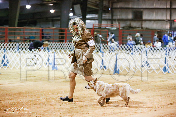 _JN_4135-2-GlenRoseJan2015-HR3
