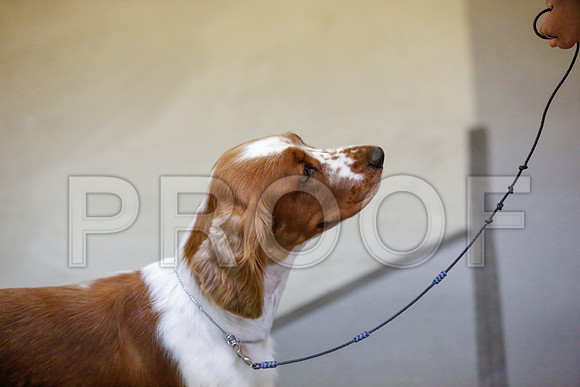 _JN_8316-AmarilloSept2014-HR3