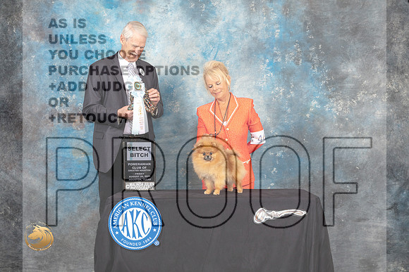 Pomeranian #46 Fri SB Judge Jon Cole_MJ_9629_HstnTOY_2022_HR3