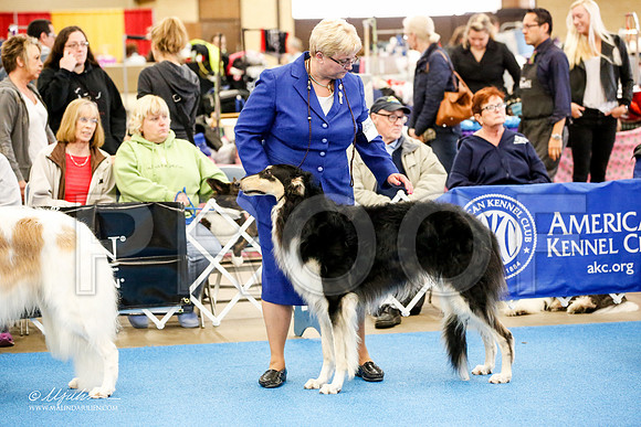 _M3_2241-AddisonHuskyMar2015-HR3