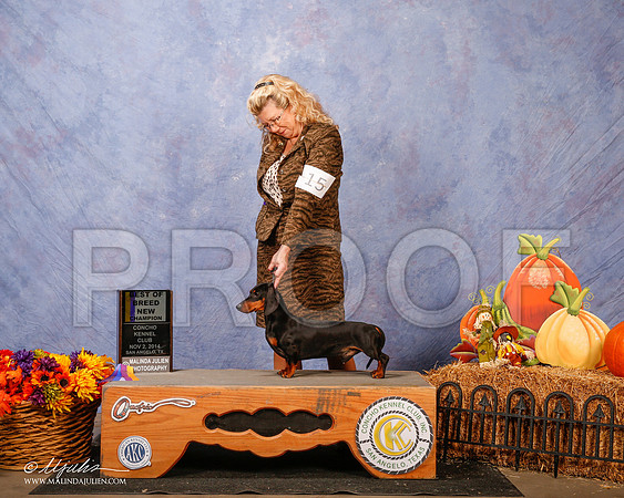 _CL_4581-2-SanAngelo2014-HR3