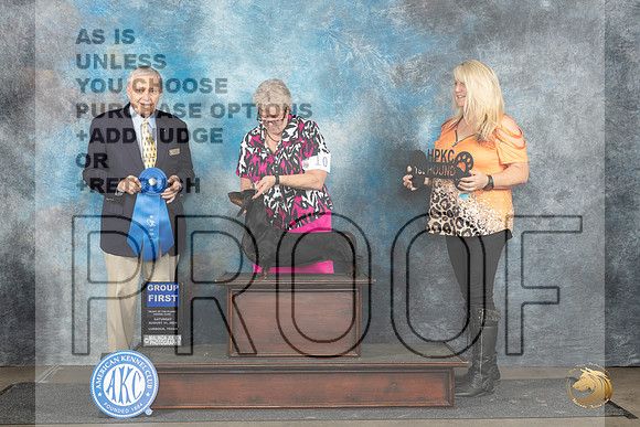 Dachshund Smooth #10 Sat G1 Judge David Bolus__JP_3659_Lubbock_2024_HR3