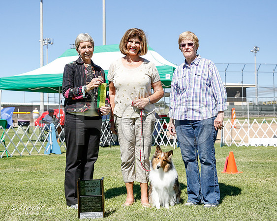 _CL_0370-2-AlamogordoOct2014-HR3