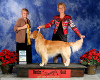 #265 Thurs 3rd  Amatuer Owner HandlerJetoca's Rising Out of the Fire CD Janet & Tom Weis Judge Michele Stansbury Gawenka