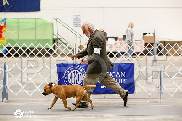 _CK_8524-AblnMay2014-web